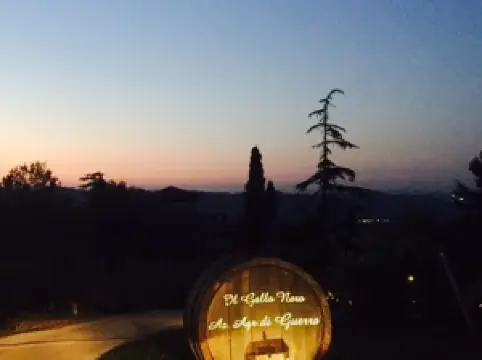 Agriturismo Il Gallo Nero