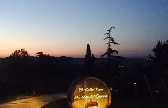 Agriturismo Il Gallo Nero