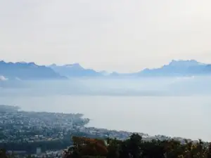 L'aigle gourmand