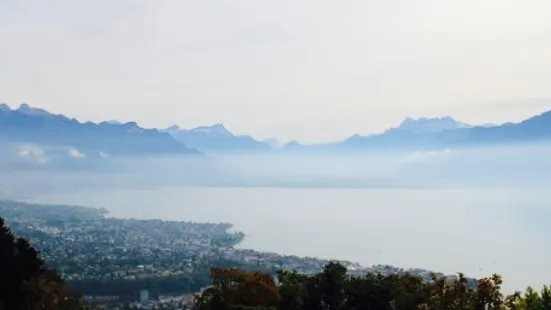 L'aigle gourmand