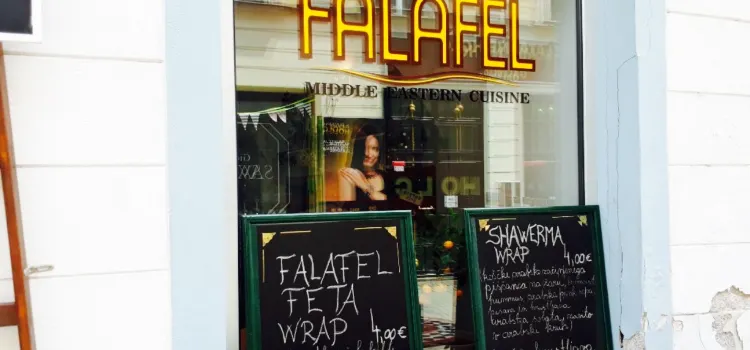 Mr.Falafel