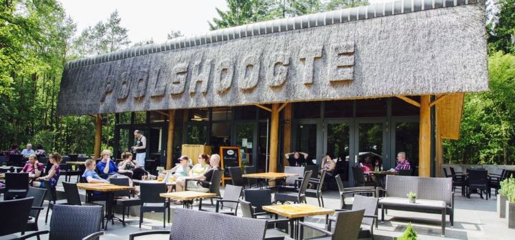 Poolshoogte