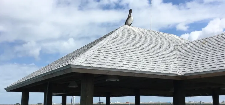 Anna Maria Oyster Bar on the Pier