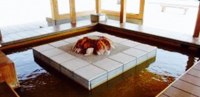 Kawa No Eki Funagoya Koibitaru Onsen Kan