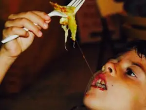 Al Dente Foodkombi