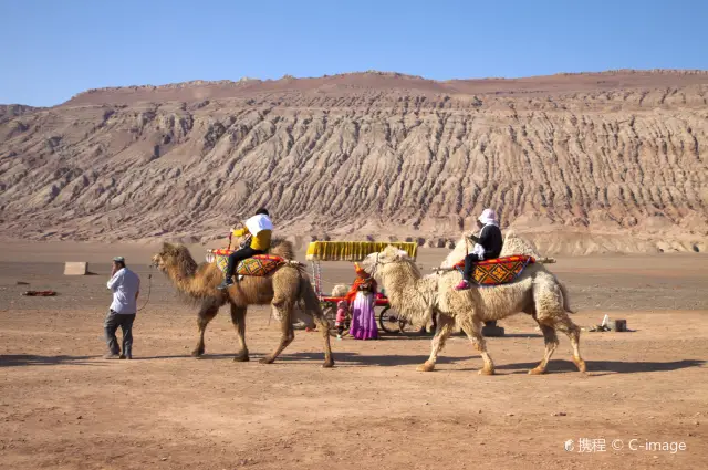Camel Riding in Turpan
