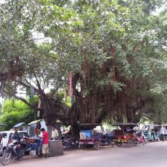 Khmer Touch Cuisine User Photo