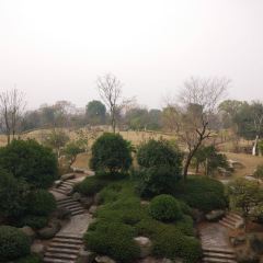 悦兮半岛温泉度假酒店·餐厅部 User Photo