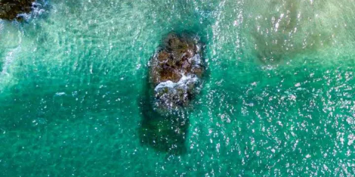 德克士（寧城店）