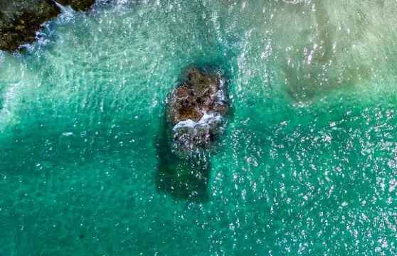 德克士（寧城店）