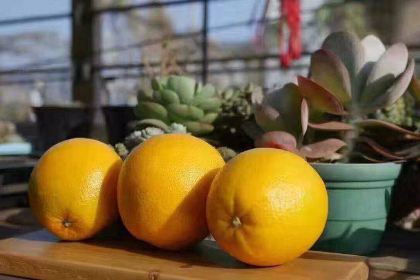 麥當勞（江東中路有加利店）