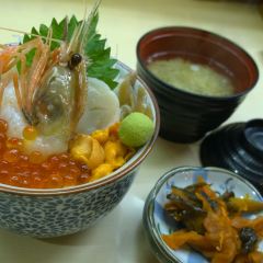 Tabiji User Photo