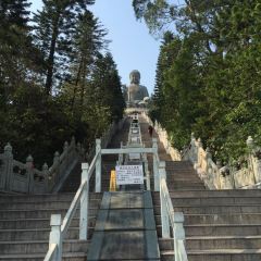 Baoliansizhaitang User Photo