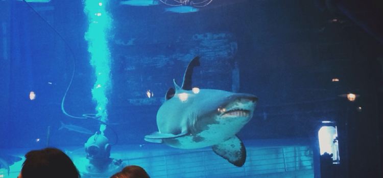 Cargo Hold Restaurant