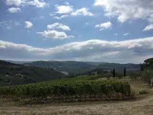 La Cantinetta di Rignana