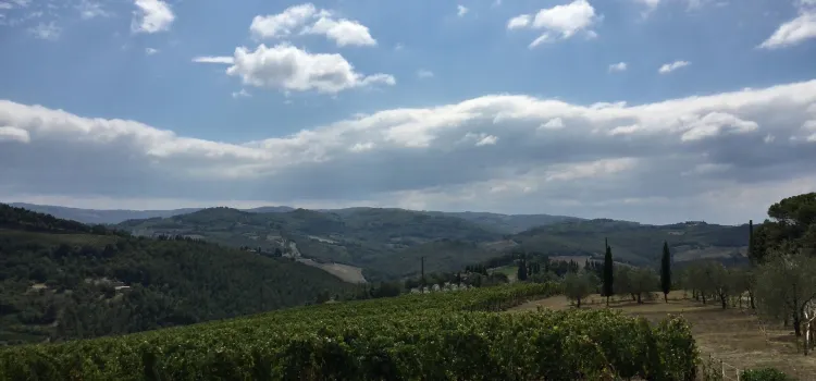 La Cantinetta di Rignana