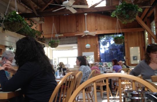 Half Day Cafe