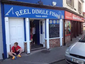 Reel Dingle Fish