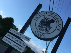 An Octopus' Garden Cafe