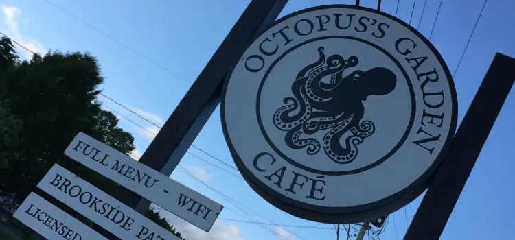 An Octopus' Garden Cafe