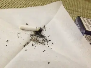 La Scoica
