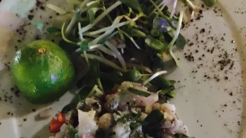 Zoya - Grill Bar in HaSharon