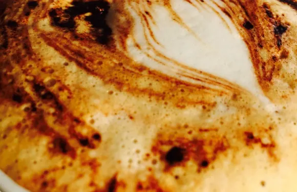 The Potting Shed Cafe