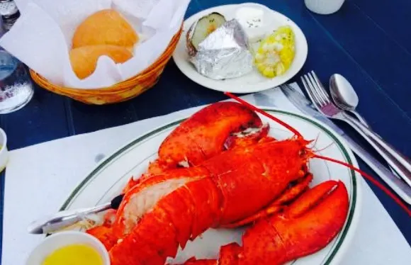 Cardigan Lobster Suppers