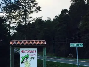 Antonio's Tacos