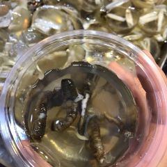 天河西門土筍凍張用戶圖片