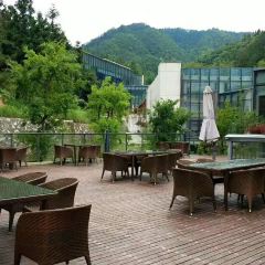 罗田藏龙大别山度假酒店餐厅 User Photo