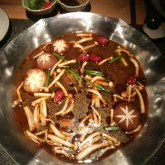 Coucouhuoguo·chaqi (laifushiguangchangzhangning) User Photo