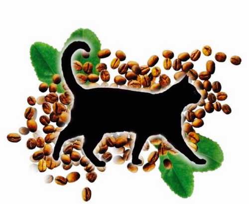 Black Cat Vegan Cafe