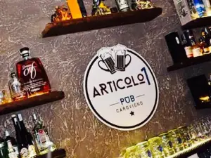 ARTICOLO 1 - PUB