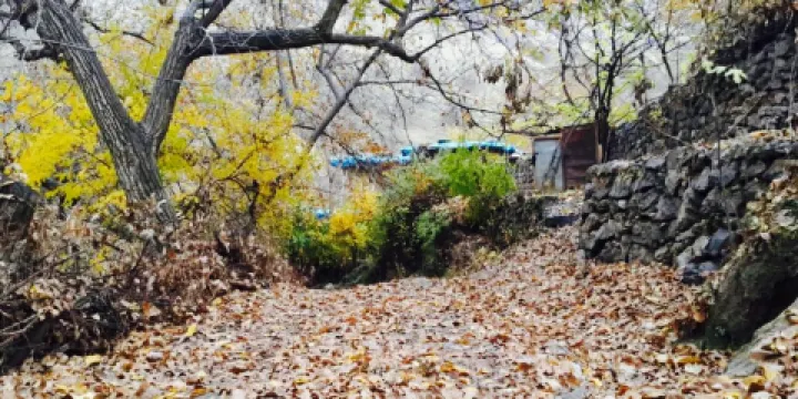 Ranya Mall Restaurant & Cafe