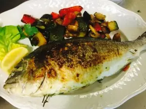 Adriatic Grill+Fisch