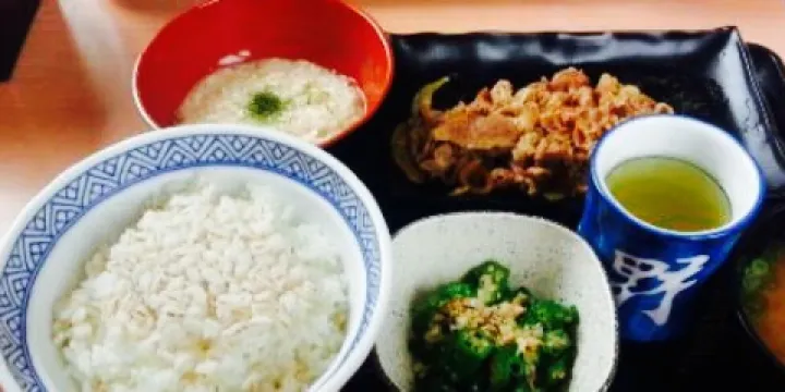 Yoshinoya Route 136 Izu Nagaoka