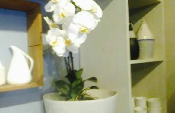 Fynbos Shop and Coffee Shop