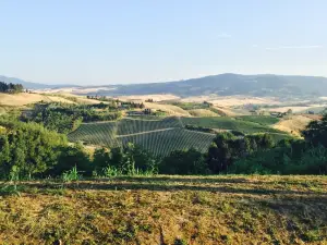 Pizzeria il Cigliere