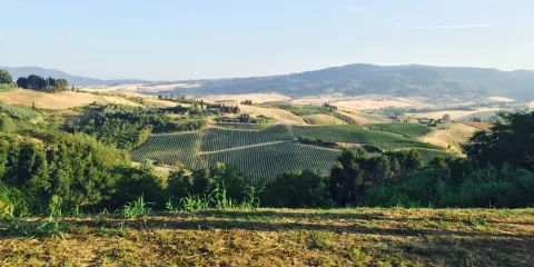 Pizzeria il Cigliere