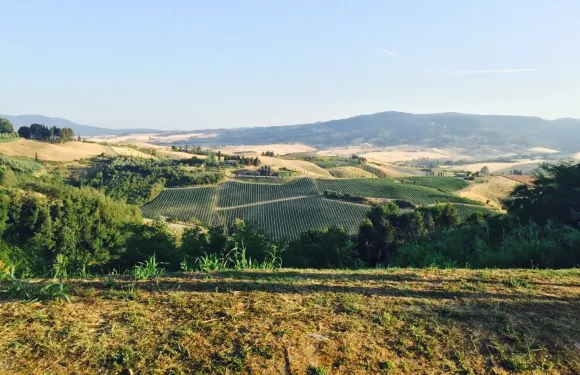 Pizzeria il Cigliere