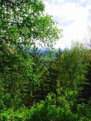 Fort George Canyon Provincial Park