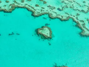 心形礁