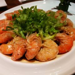 XIAO YU CAN TING User Photo