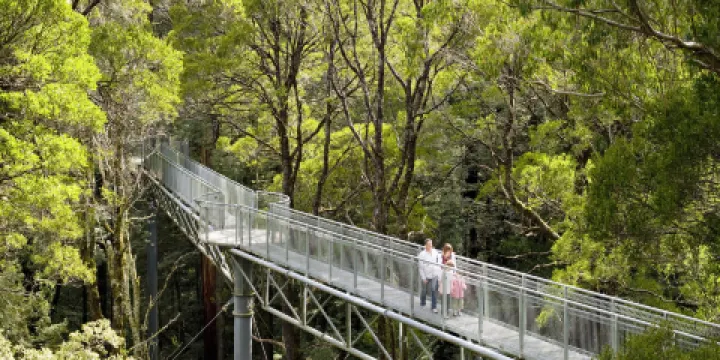 奧特韋樹頂漫步