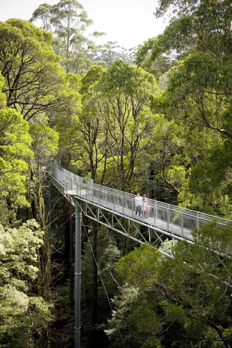 Hotels near Otway Fly Treetop Adventures