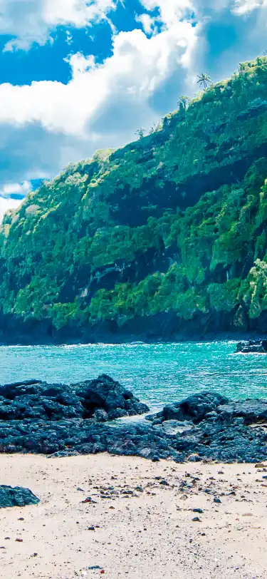 Hoteles de hoteles que admiten mascotas en Gran Comora, Comoras