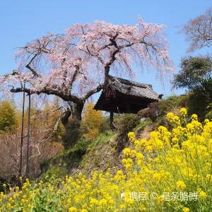 地蔵禅院