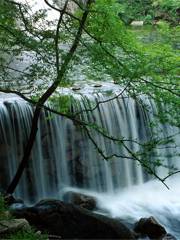 Changshenggu Scenic Area