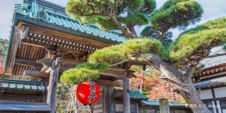 Hasedera